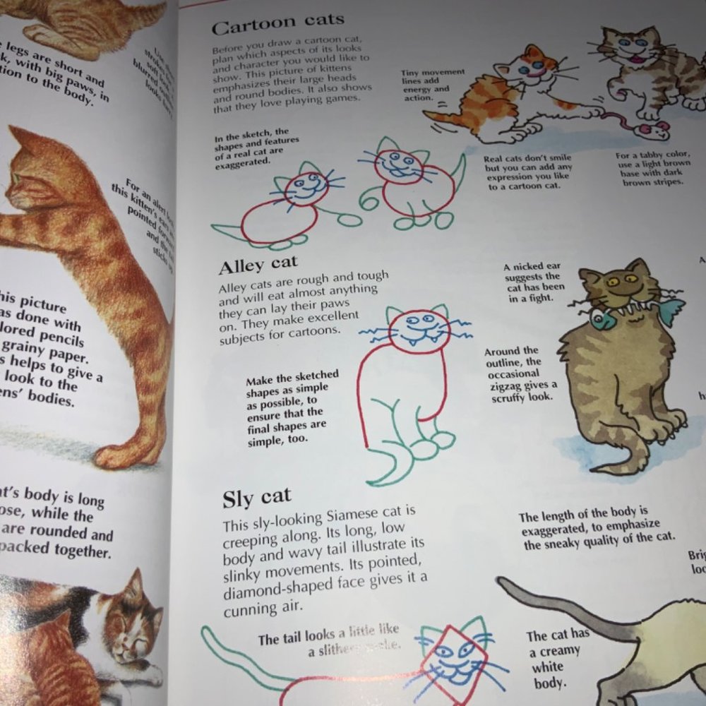 The Usborne Complete Book of Drawing. - Picture 4 of 12